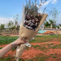 Лео Цао модель