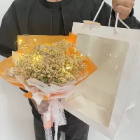Рекомендуемый апельсиновый стиль окна