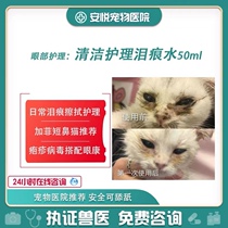 Cathouse Fairy Water Eye Health Gel Garfield Gradient Different Short British Short Egg Belly Teat Tears Water