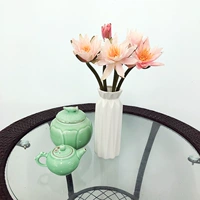 10 розовых водных лилий