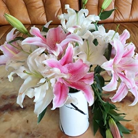 15 Лили розово -белая смесь и смешивайте и смешивайте+раствор для питания доставки