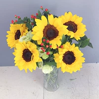 5 к подсолнухам+красная фасоль+доставка питательных веществ