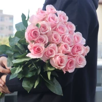 Fan Beauty/Pink Rose/Pink Litchi/Pink Snow Mounta