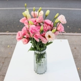 Цветок маленький Daisi Pacific Plutter Mei Yunnan Base Straight Fresh Poy Pinglang Ping Chrysanthemum Flower Isert Flower Beast Express