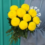 Цветок маленький Daisi Pacific Plutter Mei Yunnan Base Straight Fresh Poy Pinglang Ping Chrysanthemum Flower Isert Flower Beast Express