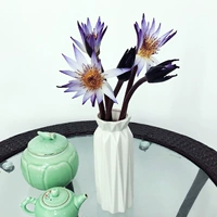 5 лилий фиолетовой воды