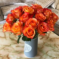 Jinhui Rose 18+2 (потеря потери)+Свежее -агент подготовки