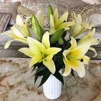 10 Желтая лилия