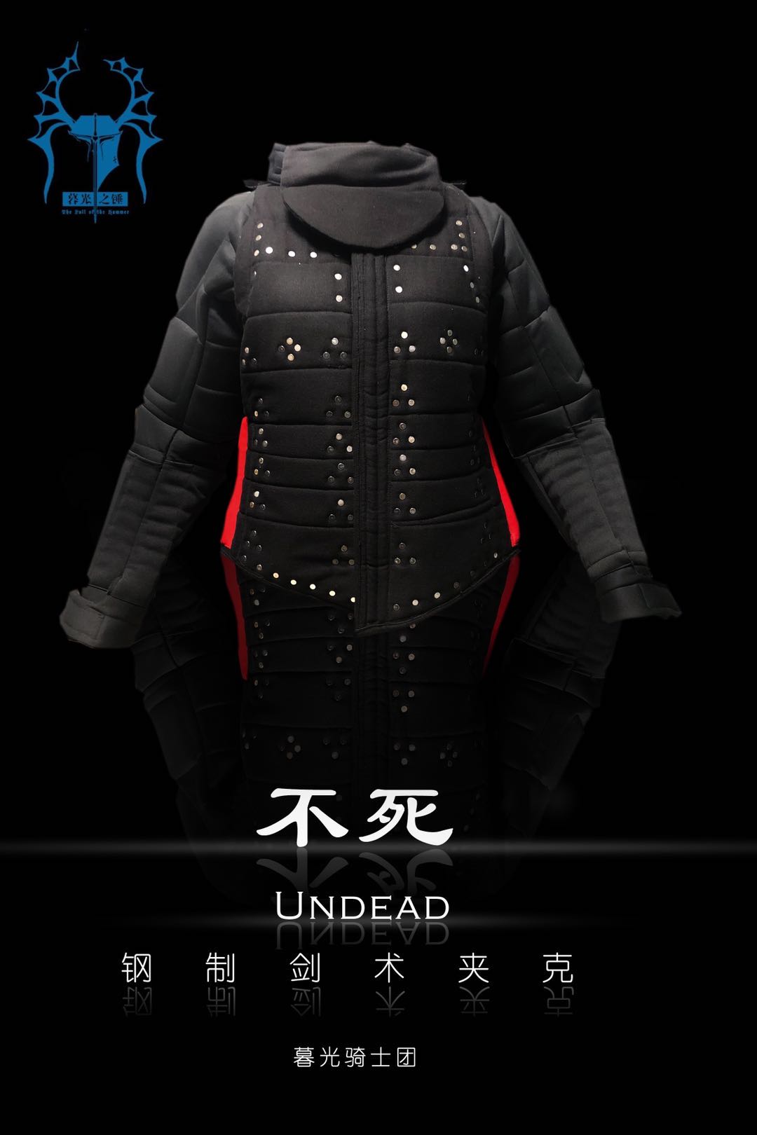 (Twilight Knights) Steel Sword Jacket HEMA Armor Combat Equipment 'Undead' tailor-made