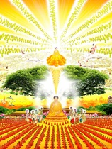 The knot big Buddha top head shrivels shrivels shrivels curses of the scene picture HD Buddha painting photo paper plastic seal Q