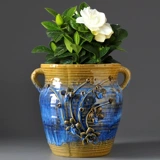 Экстра -мясное мясо старая куча специальная цветочная горшка крупно -калибр крупно -диаметра сочные растительные утеса.