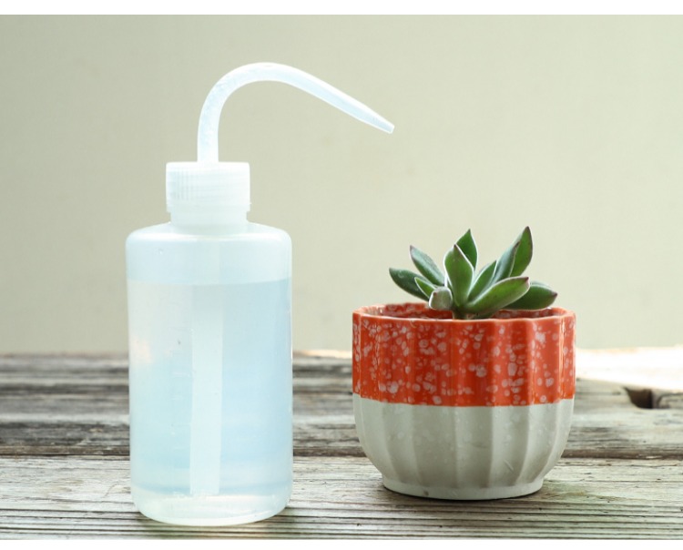 Máy phun nước áp lực cầm tay Đinh Hạo có thể phun nhỏ nồi 250ml nhỏ giọt ấm đun nước làm vườn trong chậu cung cấp thịt đồ làm vườn