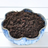 흙 잎이 에 심은 심은 영양 방법들 에 사라지고 흙 알갱이는 늘 진흙이 다육이 숯.