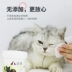 Khăn lau mắt cho mèo để loại bỏ nước mắt Khăn lau mắt - Cat / Dog Beauty & Cleaning Supplies