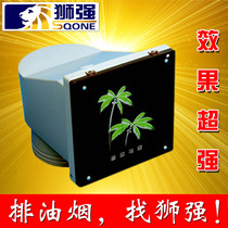 Shiqiang brand S504A powerful exhaust fan kitchen oil fume ventilation fan silent window exhaust fan glass panel