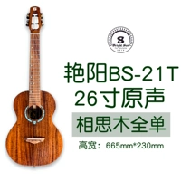 BS-21T (26-дюймовая обычная модель)