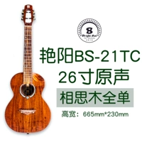 BS-21TC (26-дюймовая модель углов)