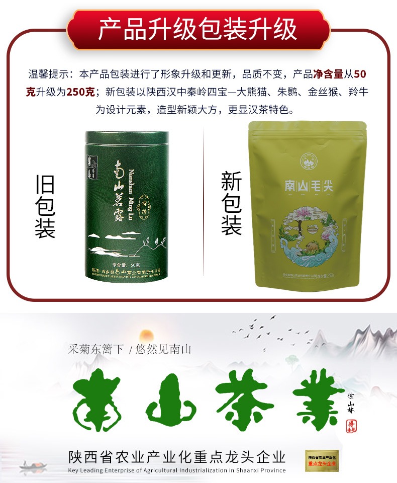 2021新茶汉中毛尖绿茶250g