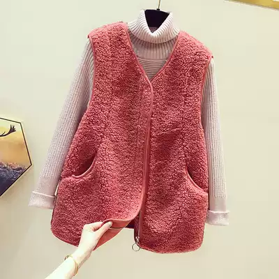 Lamb wool horse clip armor female 2020 net red Korean version loose fur one-piece lamb plush vest waistcoat tide