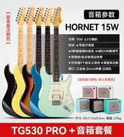 [Advanced Matching] TG530 Pro+Mooer Hornet 15W Динамик