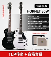 Профессиональный Бамблби, колонки, 30W