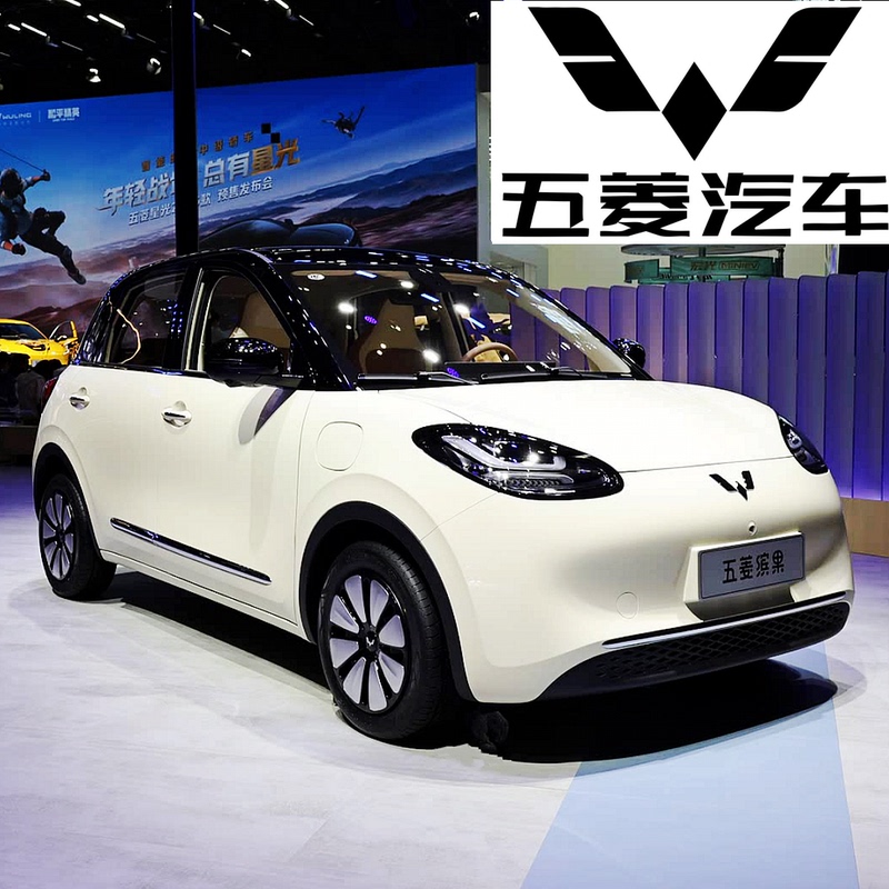 Brand New Genuine Wuling Bingo New Energy Electric Four-Wheel Vehicle, Elderly Mobility Car, 335 Kilometers Range, Registered
