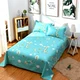 Net đỏ cũ thô lanh một mảnh bông vải lanh 1.5 / 1.8m đôi mã hóa dày Taikang đơn mùa đông lanh - Khăn trải giường ga giường cưới