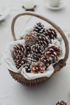 Natural pine cone wood chips branches Christmas scene photography props still life home furnishings wedding window layout