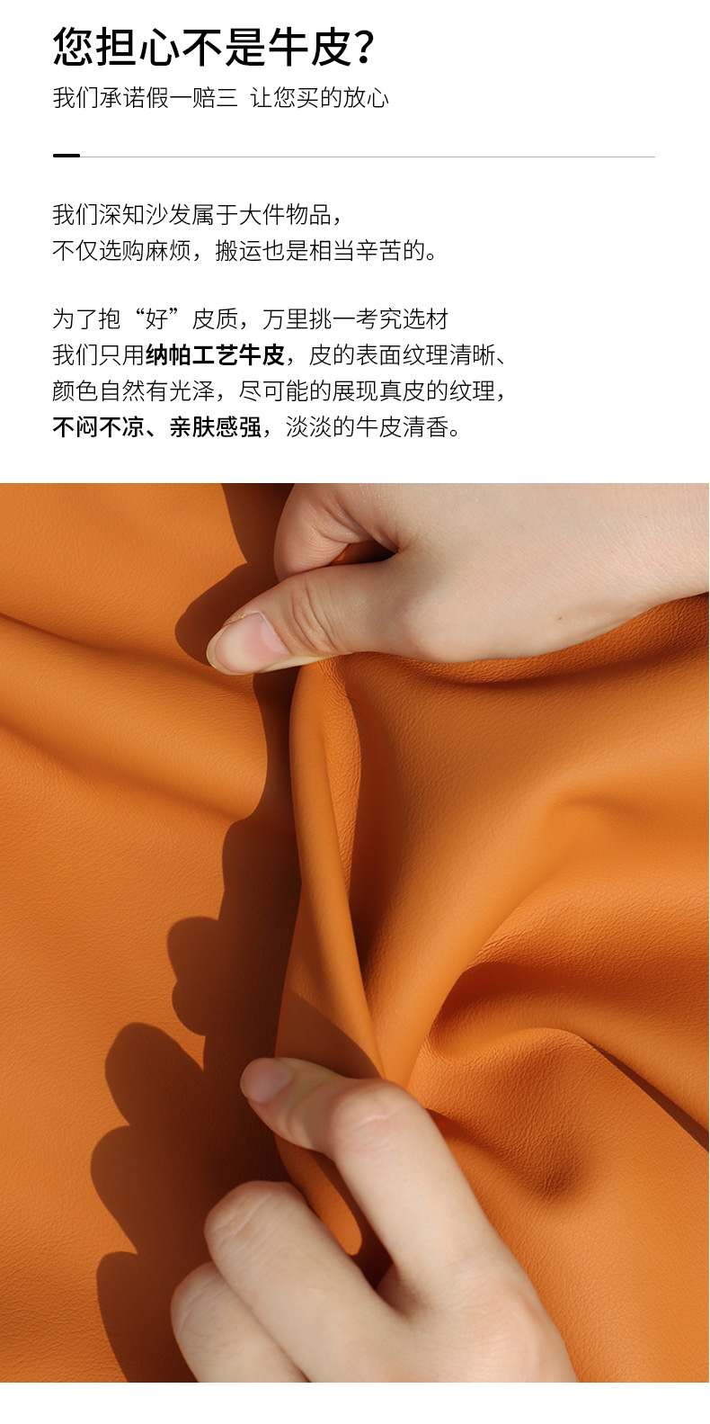 Đậu phụ trên ghế sofa-August_05.jpg