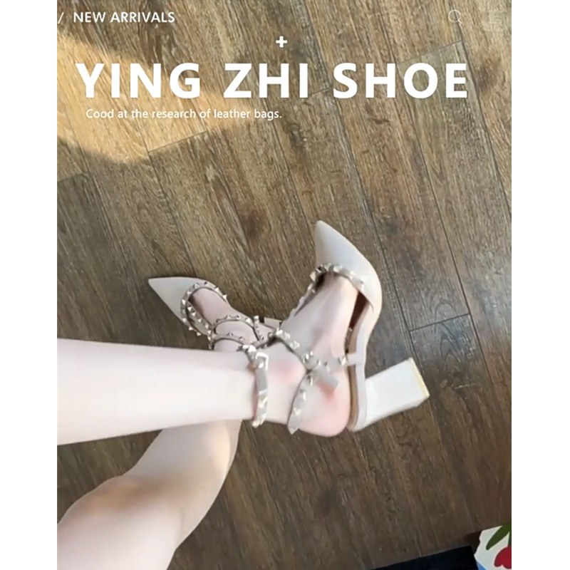 Pointed-Toe Chunky Heel Studded High Heels for Women, Stunning and Sexy, French-Style Single Shoes, 2026 Spring/Summer New Sandals