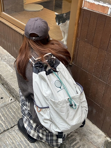 Альпинистский спортивный рюкзак подходит для пеших прогулок для путешествий для бадминтона подходит для мужчин и женщин, на шнурках, подходит для студента