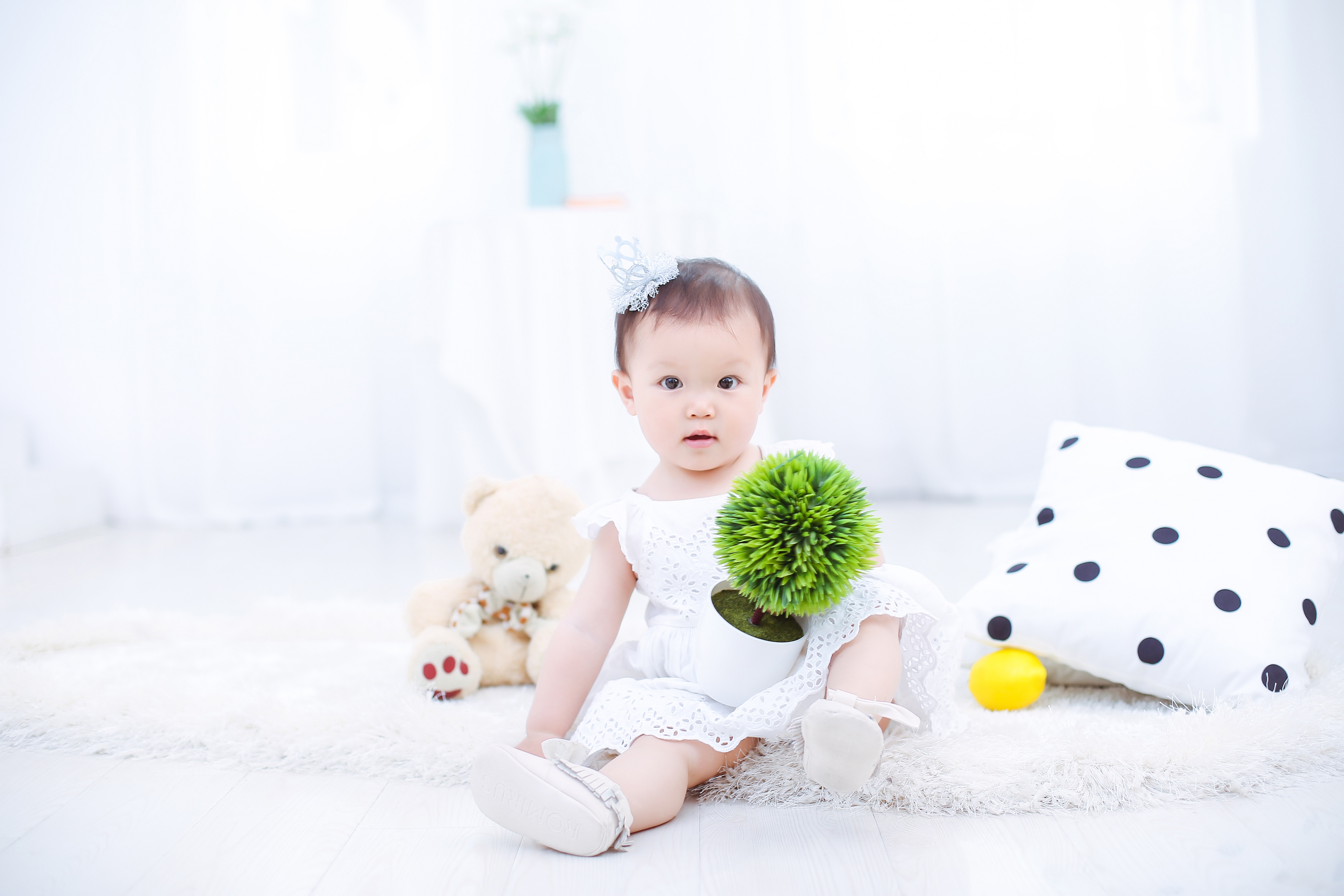 Chim bồ câu cung cấp thiết bị đua chim bồ câu chim bồ câu tự động hoạt động cửa hoạt động cửa chim bồ câu nhảy cửa dày - Chim & Chăm sóc chim Supplies thức ăn của chim bồ câu