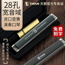 Light luxury German imported swan harmonica 28 hole accent C tune the high - level men and women to give gift instruments