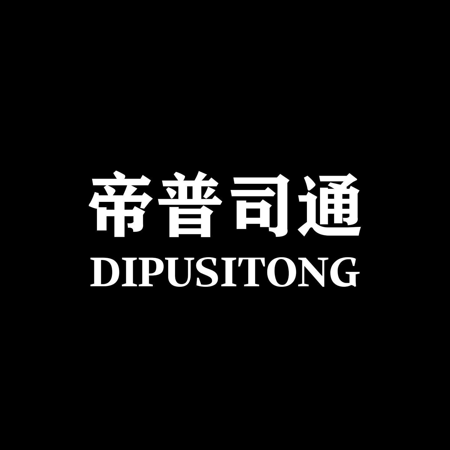 帝普司通轮胎企业店