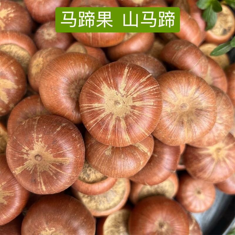 Mountain Horseshoe Herb Medicine, Horseshoe Fruit, Horseshoe Stone, Horseshoe Root, Mountain Horseshoe Root with Free Shipping, Bean Pod Doll Feet