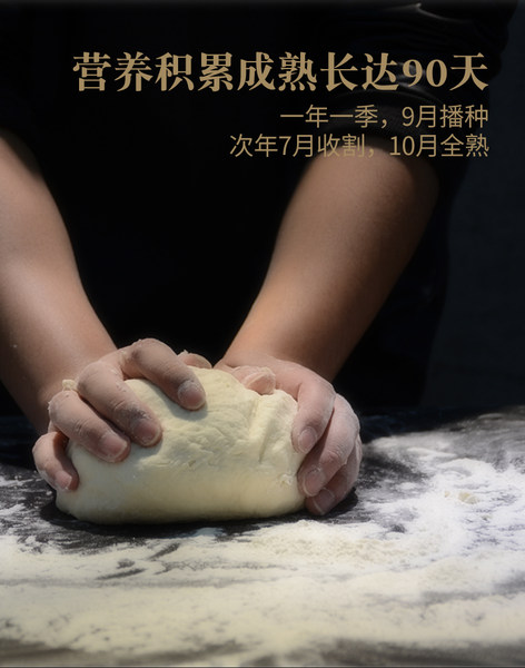 新疆特产 奇麦特 特制一等 奇台面粉 10斤 双重优惠后￥29.8包邮