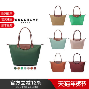 Longchamp New Color Women's Bag Medium Size Long Handle Foldable Handbag Shoulder Computer Bag Dumpling Bag 2605
