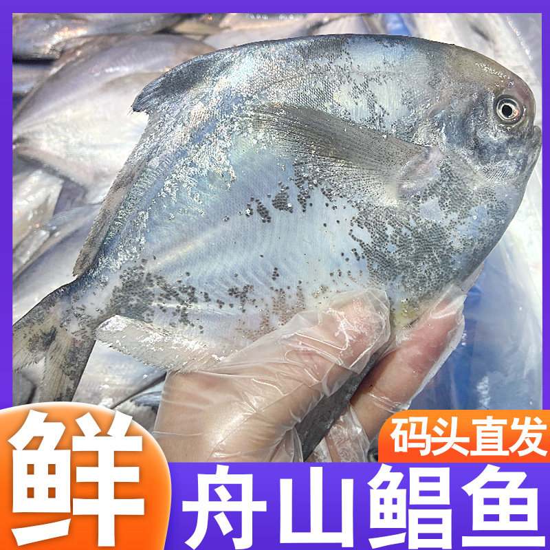 舟山海鲜中的东海白鲳鱼为何每斤3条,3斤装约含8-9条?-鲳鱼-淘宝好物网