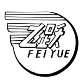 飞跃品牌官方店的LOGO