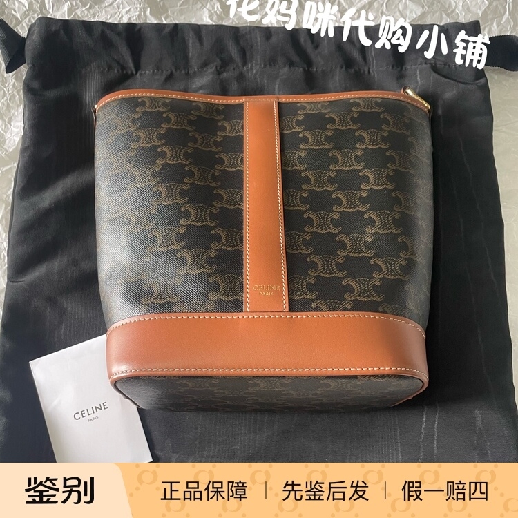 Celine Triomphe Monogram Small Bucket Bag Shoulder Crossbody Bag Small Size