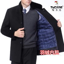 Woodpecker middle-aged father winter wool coat men stand collar down liner cashmere coat short thickened