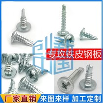 National standard Cross large flat head drilling tail wire self-tapping self-drilling dovetail nail screws big round head Hushi M4 2