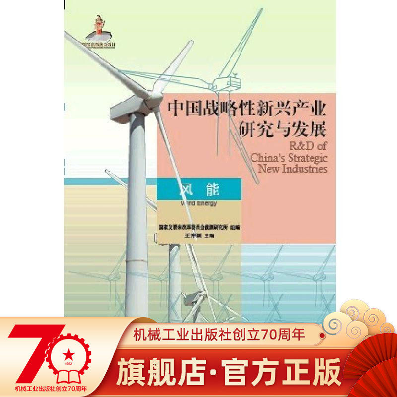 China's Strategic Emerging Industry Research and Development Wind Energy Wang Zhongying and other Machinery Industry Press