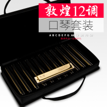 Shanghai old brand Dunhuang harmonica senior adult professional performance 24-hole polyphonic 7-tone gift 12-tone set