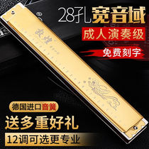 Shanghai Dunhuang harmonica 28-hole polyphonic accent imported sound Reed beginner adult advanced professional performance musical instrument