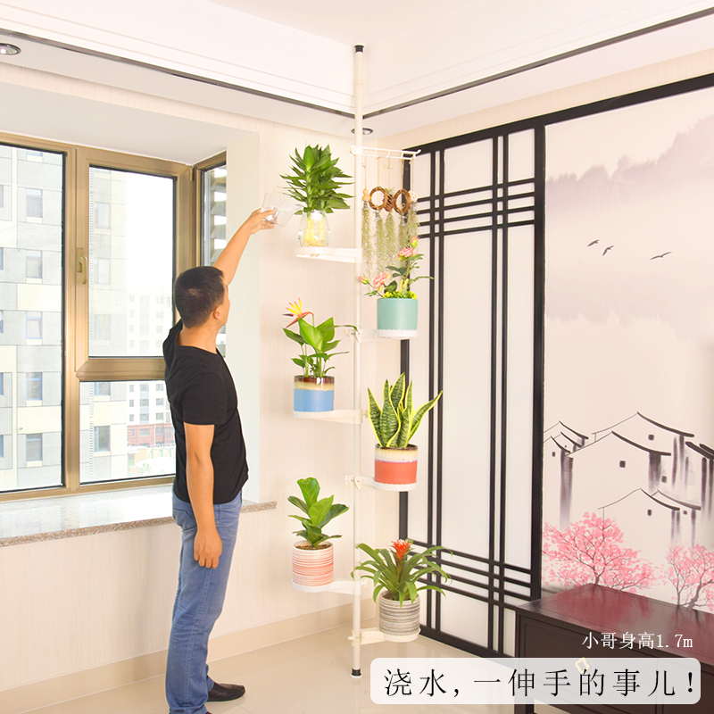 Sáng tạo đứng ban công phòng khách biến góc hoa đứng nhiều lớp màu xanh lá cây thì là tường nội thất kệ hoa - Kệ giá sách gỗ