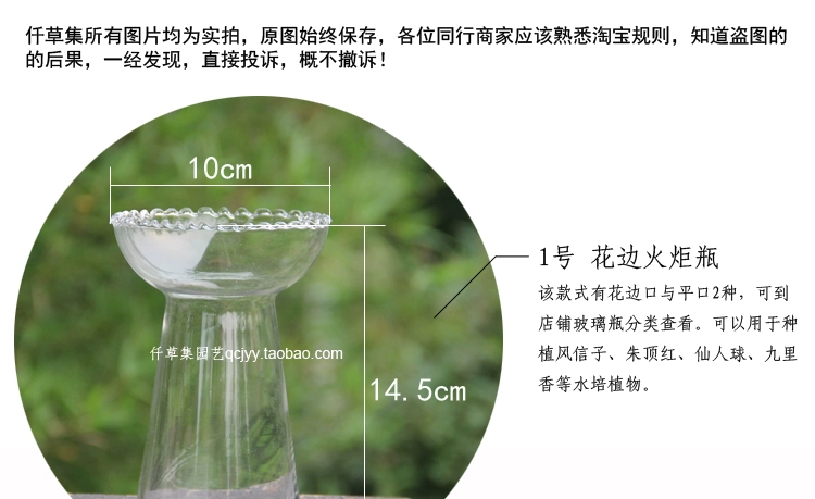 Bình thủy canh hình trụ thủy tinh vuông Bình thủy canh bình thủy tinh chai thủy canh hoa thủy canh - Vase / Bồn hoa & Kệ
