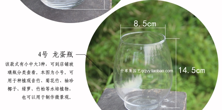 Bình thủy canh hình trụ thủy tinh vuông Bình thủy canh bình thủy tinh chai thủy canh hoa thủy canh - Vase / Bồn hoa & Kệ