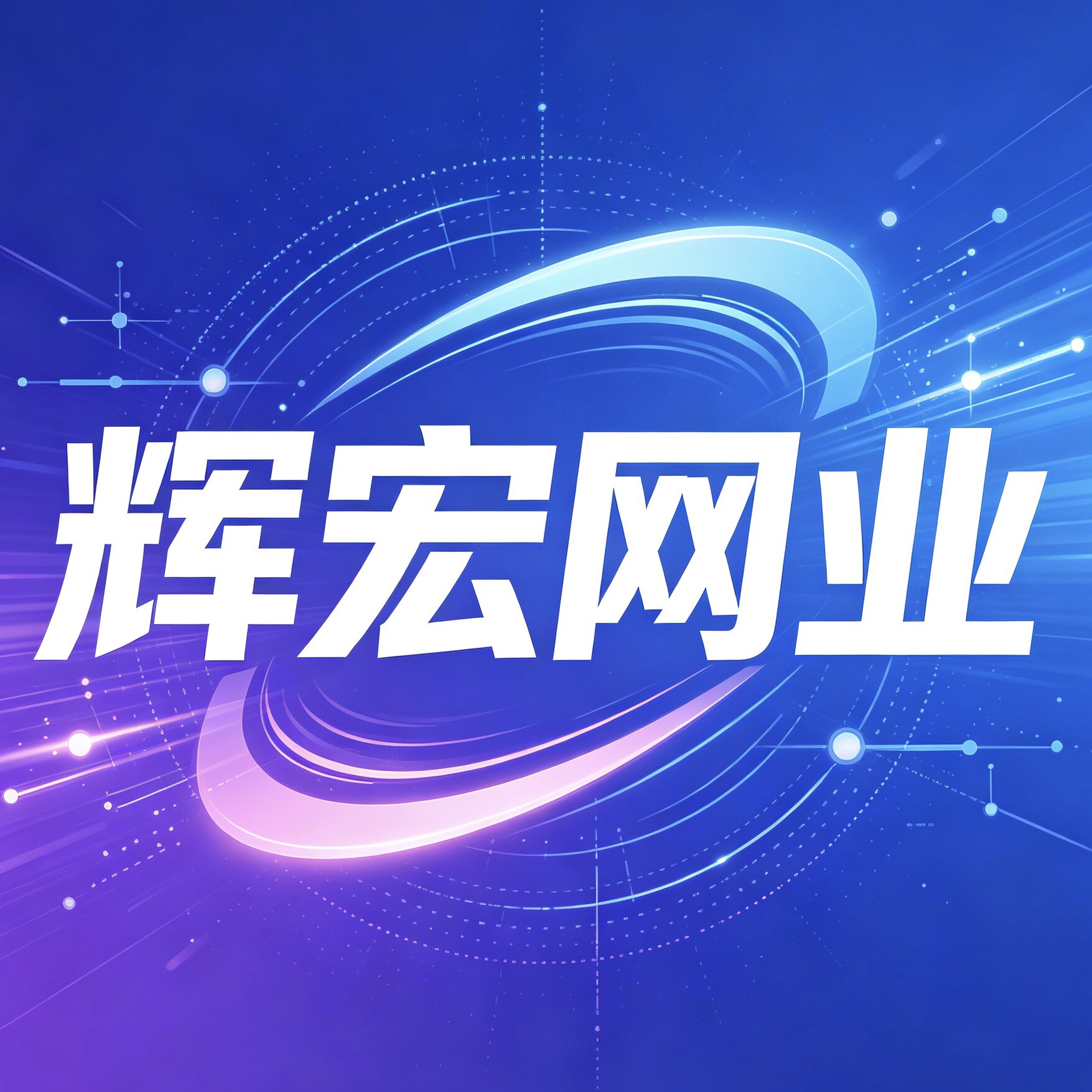 辉宏网业