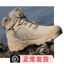 Spring military fans special forces combat boots mens high-top desert low-top tactical boots Shock absorption security training shoes women